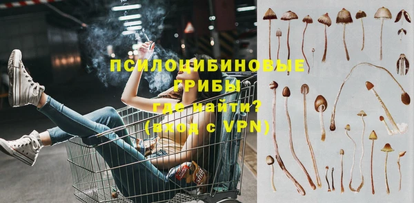 твердый Аркадак