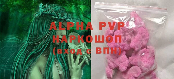 гашик Арсеньев