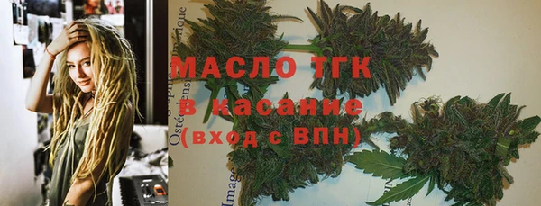 гашик Арсеньев