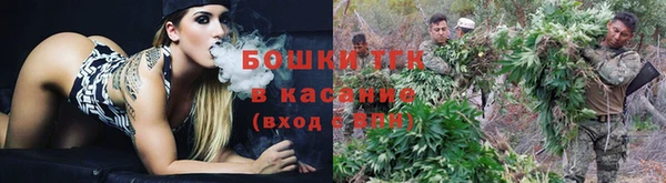 гашик Арсеньев