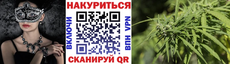 Каннабис White Widow Тайга